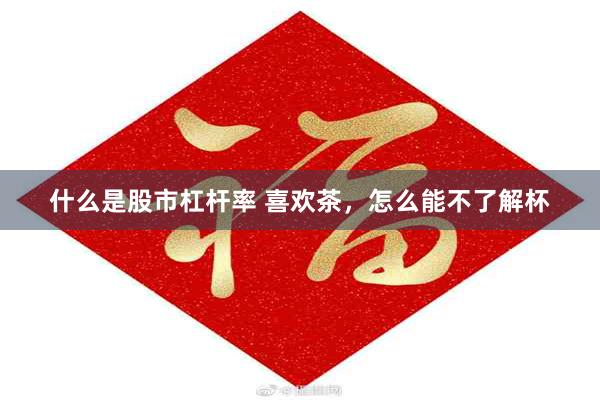 什么是股市杠杆率 喜欢茶，怎么能不了解杯