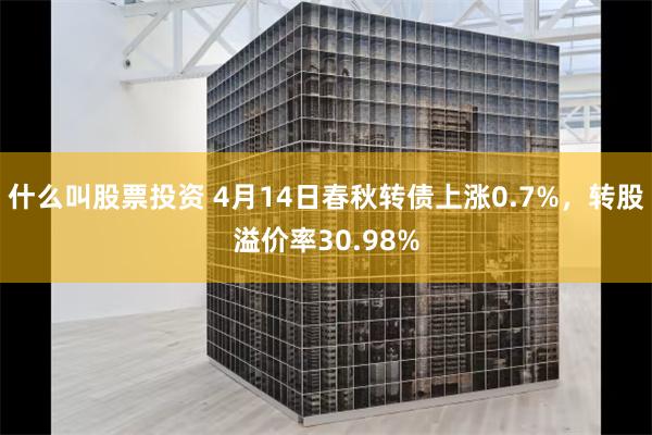什么叫股票投资 4月14日春秋转债上涨0.7%，转股溢价率30.98%