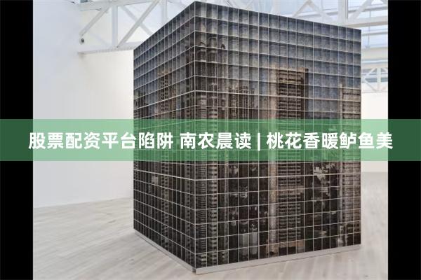 股票配资平台陷阱 南农晨读 | 桃花香暖鲈鱼美