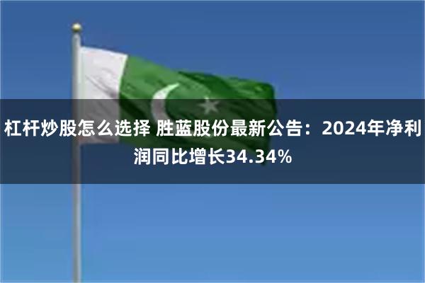 杠杆炒股怎么选择 胜蓝股份最新公告：2024年净利润同比增长34.34%