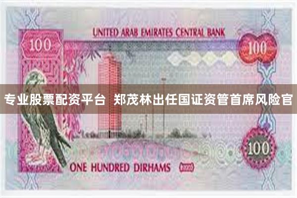 专业股票配资平台  郑茂林出任国证资管首席风险官