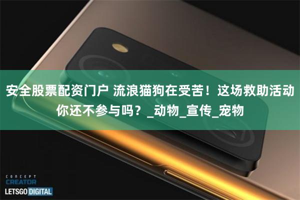 安全股票配资门户 流浪猫狗在受苦！这场救助活动你还不参与吗？_动物_宣传_宠物
