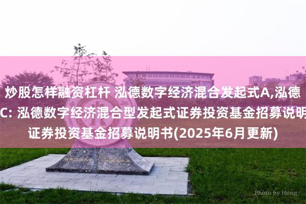 炒股怎样融资杠杆 泓德数字经济混合发起式A,泓德数字经济混合发起式C: 泓德数字经济混合型发起式证券投资基金招募说明书(2025年6月更新)